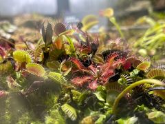 -国家植物园南园