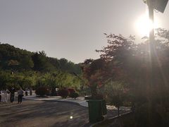 -威海华夏城景区