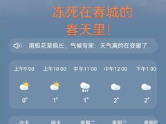 -七彩云南茶(七彩云南第壹城店)