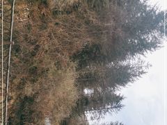 -硗碛藏寨·神木垒景区