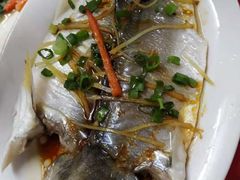 -蛇口康乐快餐鱼仔档(翠苑小区店)