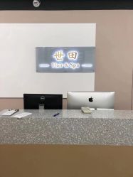 -世田造型