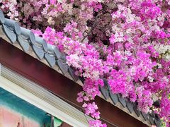 -深圳国际园林花卉博览园