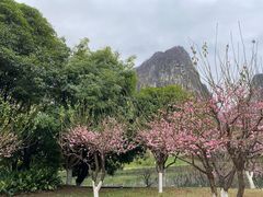 -南溪山景区