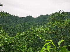 -抱龙峪