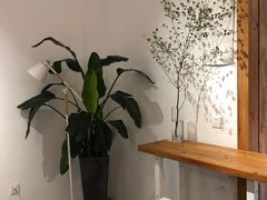 用餐区-COTTON CAFE(德信·中外公寓店)