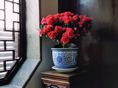 -艺圃