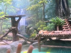 -海合安成都极地海洋公园