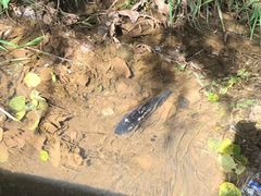 -泸沽湖国家级风景名胜区走婚桥