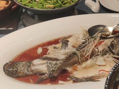 -金狮麟·新豫菜(金码大厦店)