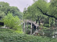 -西湖游船