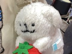 -1点点(世欧天虹店)