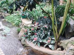 -南山植物园