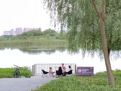 -洋湖国家湿地公园
