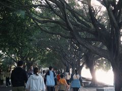 -南宁南湖公园