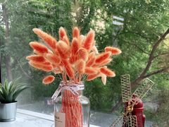 -MOCUS莫卡斯餐厅(祥云小镇店)
