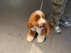 -Grid Coffee(大运天地店)