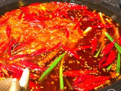 -蜀大侠火锅(东园路店)