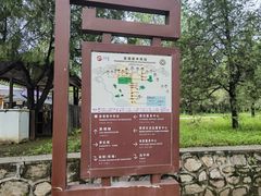 -清东陵