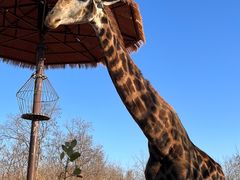 -济南野生动物世界