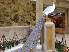 -临沂华盛江泉城大酒店