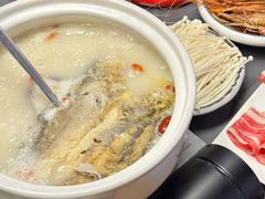 -金龙·打边炉(南京西路店)