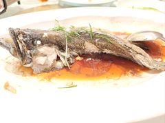 -金河半岛园林酒家(金融城店)