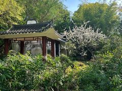 -深圳国际园林花卉博览园