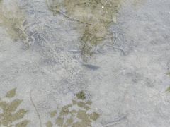 -成飞公园