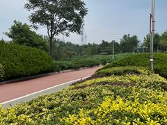 -滨河世纪广场公园