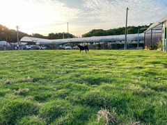 -美家乐农庄·露营·团建(大治路店)