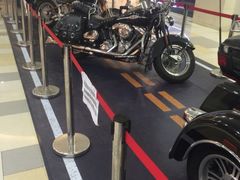 -鹏欣水游城