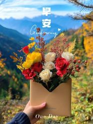 -薇薇安花系SPA