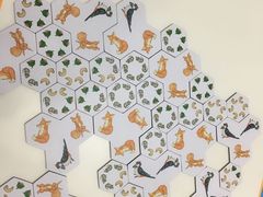 -科晓兔外教英文·数学思维·乐高编程·科学实验(怡山校区)