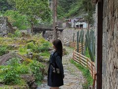 -MOJ coffee(瓯海泽雅水碓坑店)