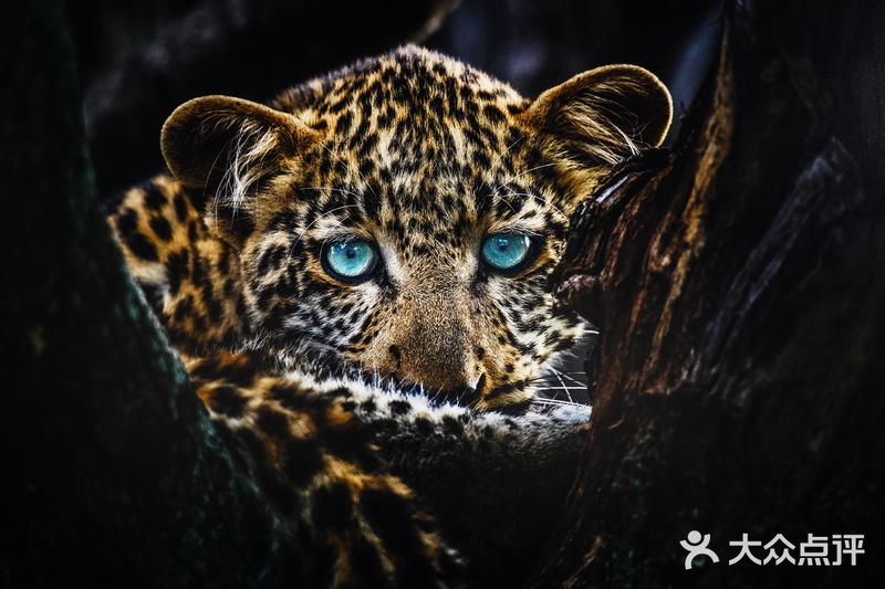 “飘着仙气儿”的艺术馆