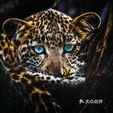 “飘着仙气儿”的艺术馆