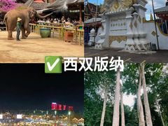 -西双版纳原始森林公园