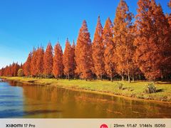 -黄海国家森林公园