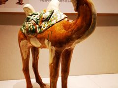 -深圳博物馆(古代艺术馆)