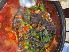 -探鱼·鲜青椒爽麻烤鱼(苏宁广场店)