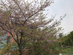 -玉山公园