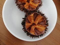 -海胆小馆(东北水饺·春柳店)