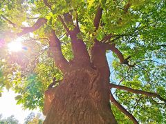 -象头山国家级自然保护区