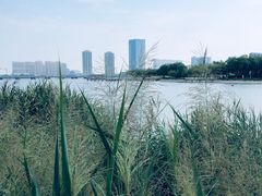 -天津金海湖