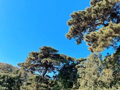 -香山公园