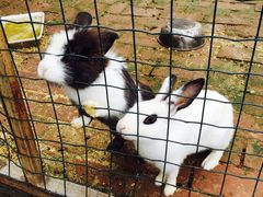 意大利农场-意大利农场度假村