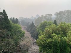 -武汉大学-樱园