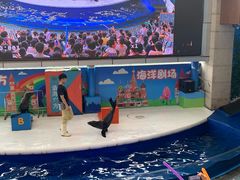 -成都浩海立方海洋公园