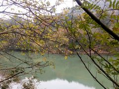 -白马涧龙池景区